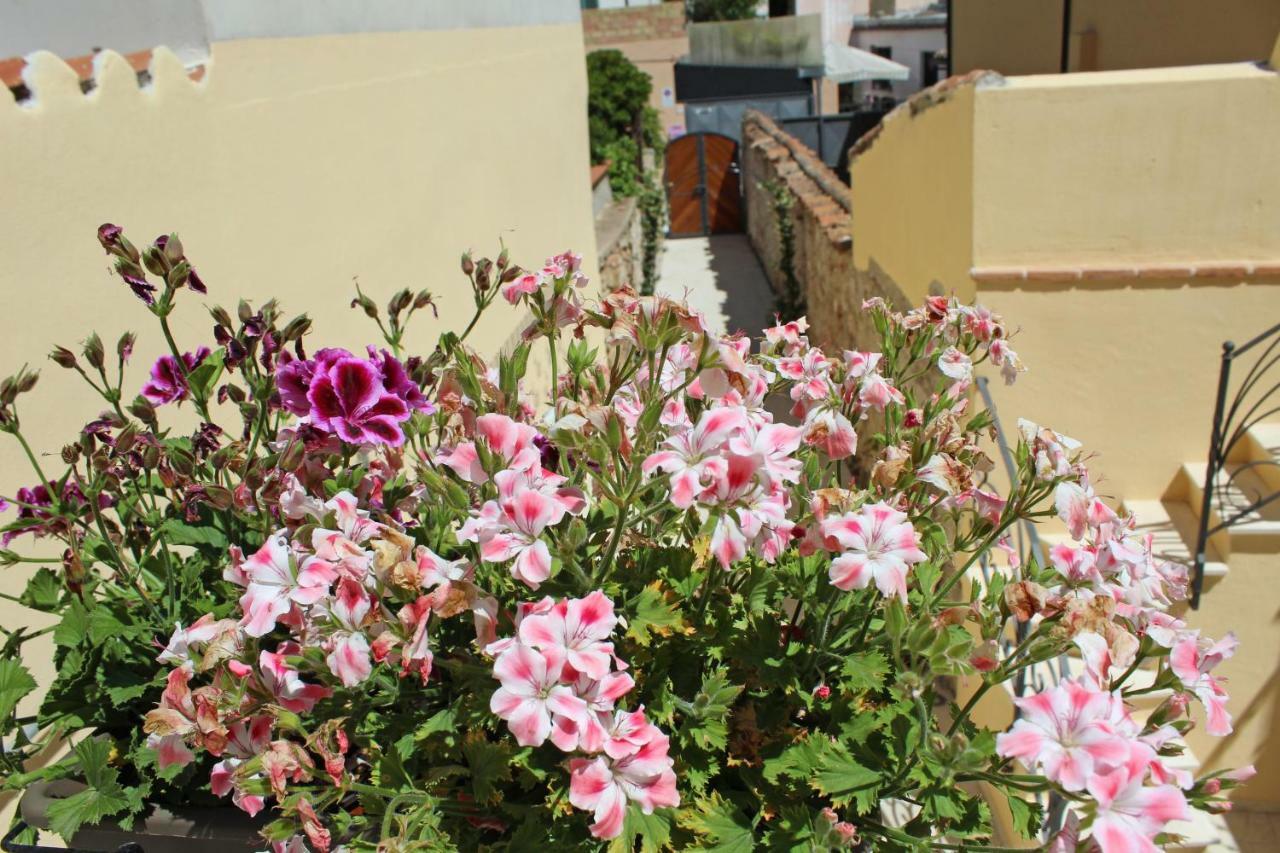 Ogliastra Luxury Apartment - Ajpsardinia Tortoli Ngoại thất bức ảnh